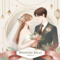 Profile picture of weddingbellsadmin